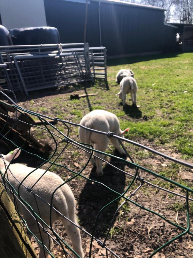 The Slow Zuidoostbeemster エクステリア 写真